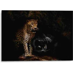 Bild CAVED CATS (BHT 70x50x2 cm) - BHT 70x50x2 cm