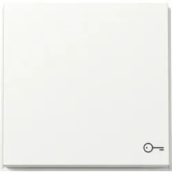 Gira 328766 Wippe Symbol Tür TX_44 WG Unterputz Reinweiß