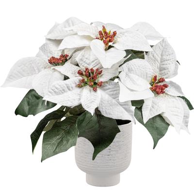 Winterliche Kunstpflanze OTTO HOME "Weihnachtsstern Poinsettie", weiß, H:26cm, Obermaterial: 70% Polyester, 30% Kunststoff, Kunstpflanzen, mit naturgetreuen Blüten im Keramiktopf