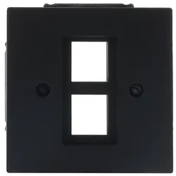 Busch-Jaeger Zentralscheibe m. Tragring 2561-02-45M
