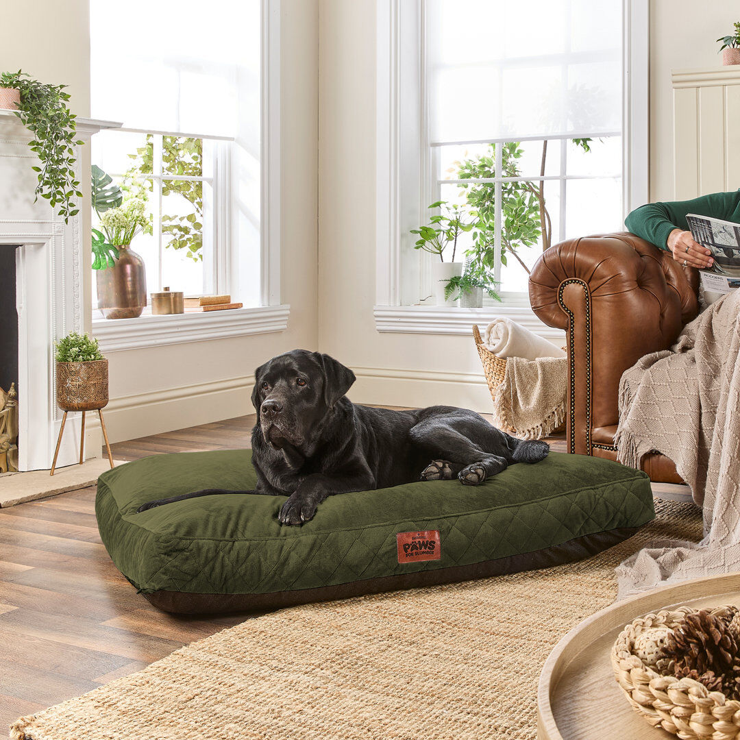Slumberdown Paws for Slumber Raised Padded Dog Bed – Comfortable, Supportive & Durable Pet Bed for All Breeds Green 20cm H x 120cm W x 90mc D