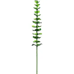EUROPALMS Kristalleukalyptus, Kunstpflanze, grün, 81cm 12x