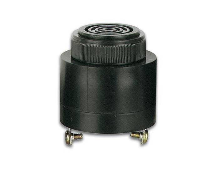 AC/DC BUZZER 220V - SCHROEFMONTAGE - SNELLE PULSMODE - 60-250Vac/dc