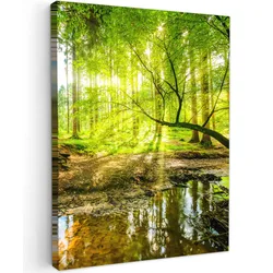 LEINWANDBILD Wald - Landschaft - Wasser - Bäume - Sonne - Grün - Natur Wandbild Wohnzimmer 60x80 cm