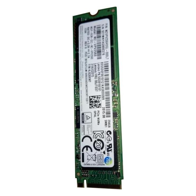Lenovo SSD 256 GB M.2 (256 GB, M.2 2280) (00JT037)