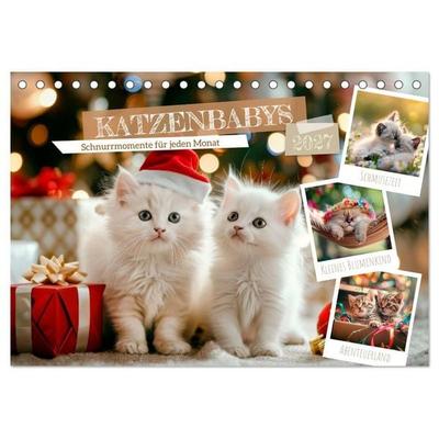 Katzenbabys - Schnurrmomente für jeden Monat (Tischkalender 2027 DIN A5 quer), CALVENDO Monatskalender