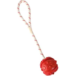 3x Trixie Ball am Seil (Apportieren, Kauspielzeug Hund), Hundespielzeug
