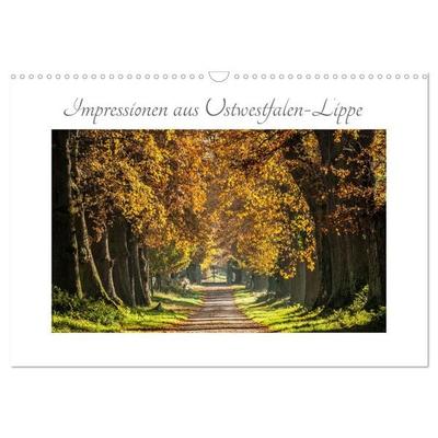 Impressionen aus Ostwestfalen-Lippe (Wandkalender 2026 DIN A3 quer), CALVENDO Monatskalender