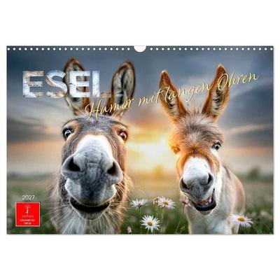 Esel - Humor mit langen Ohren (Wandkalender 2027 DIN A3 quer), CALVENDO Monatskalender