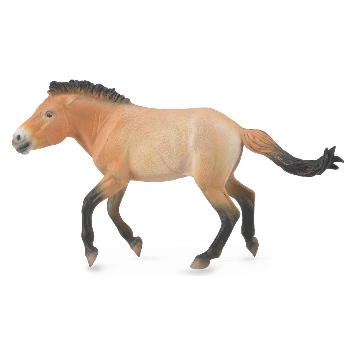 Collecta Figur Ogier Przewalski (88602) (004-88602)