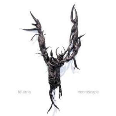Te_te_ma: Necroscape - Te_te_ma, CD