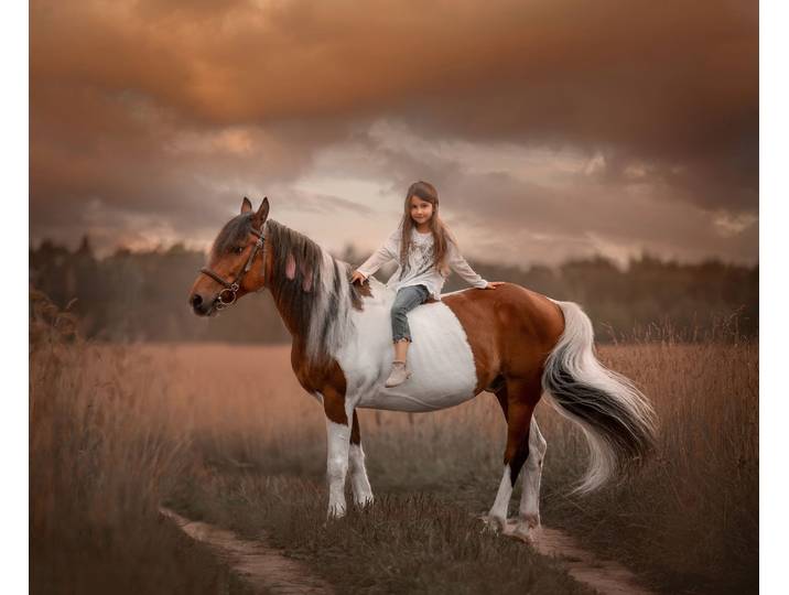 Papermoon PINTO PONY-PFERD MÄDCHEN SCHECKE TIER MINI INDIAN