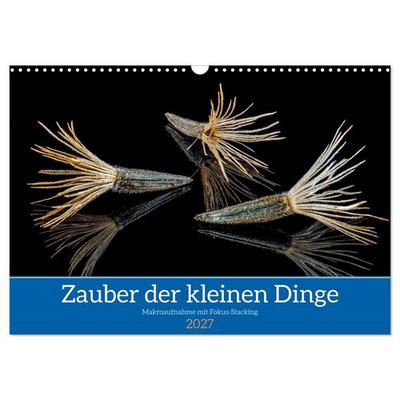 Zauber der kleinen Dinge (Wandkalender 2027 DIN A3 quer), CALVENDO Monatskalender