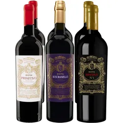 Apulien Rotweinpaket Evita 13,0% vol 6 x 0,75 Liter