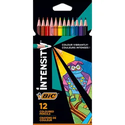 BIC® Buntstifte Mehrfarbig