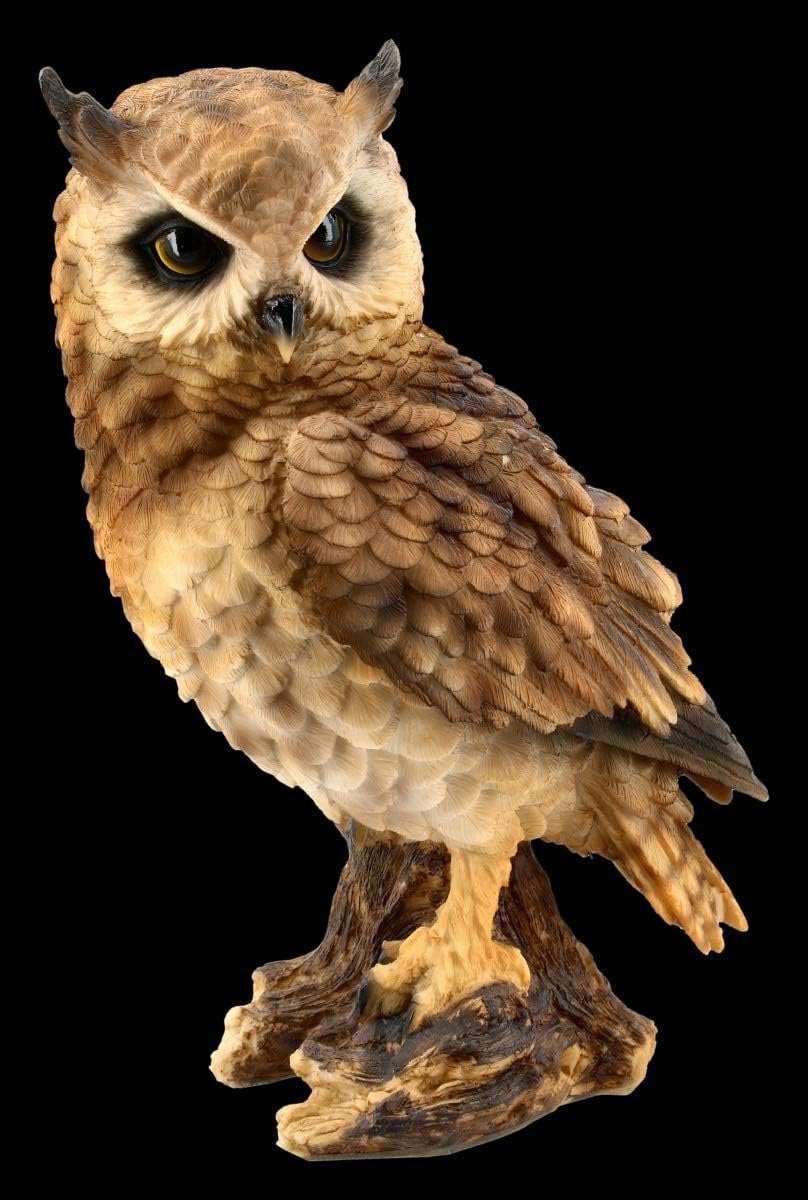 Handgeschilderde Uil Beeld Decoratie - Bruin - Hoogte: 26 cm