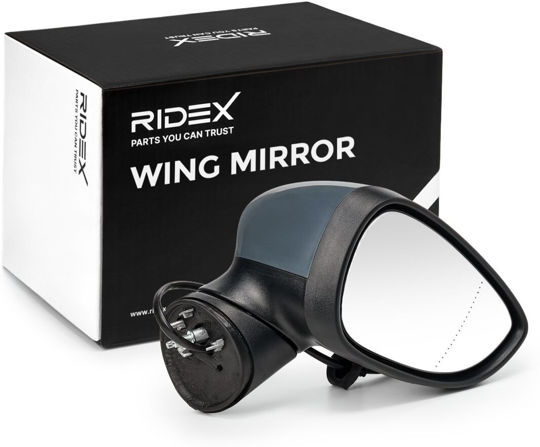 RIDEX 50O0307 Wing mirror