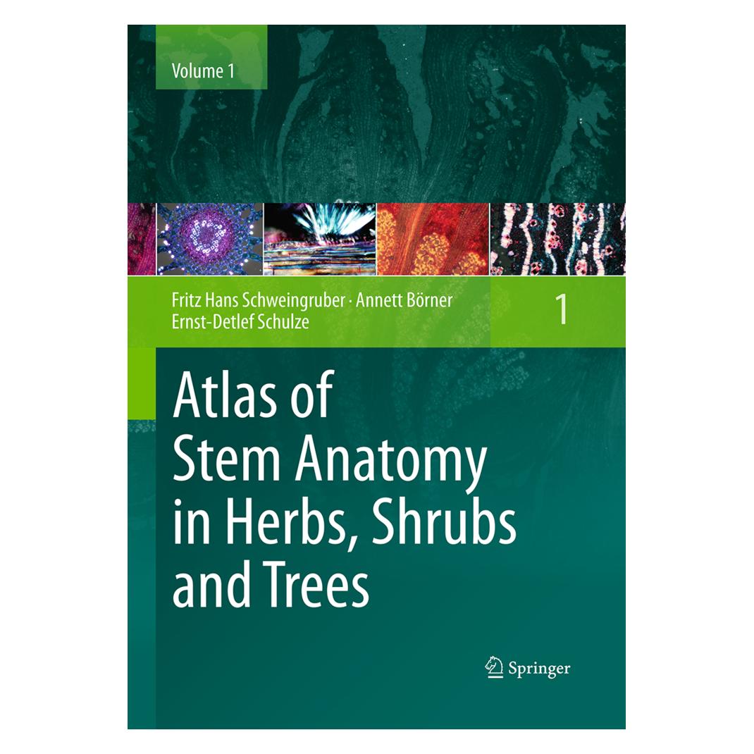 Springer Atlas of Stem Anatomy in Herbs, Shrubs and Trees (Englisch, Softcover, Annett Börner, Ernst-Detlef Schulze, Fritz Hans Schweingruber) (55946854)