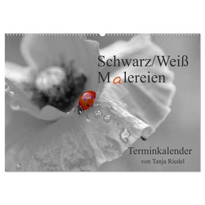 Schwarz-Weiß Malereien Terminkalender von Tanja Riedel für die Schweiz (Wandkalender 2025 DIN A2 quer), CALVENDO Monatskalender