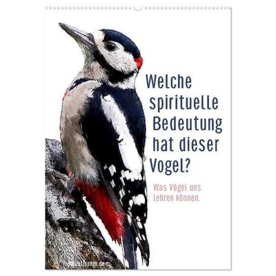 Welche spirituelle Bedeutung hat dieser Vogel? (Wandkalender 2027 DIN A2 hoch), CALVENDO Monatskalender