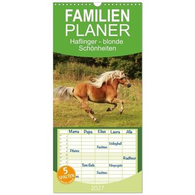 Familienplaner 2027 - Haflinger - blonde Schönheiten mit 5 Spalten (Wandkalender, 21 x 45 cm) CALVENDO