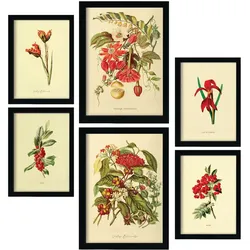 POSTER Set Mit 6 Rote Blumen In Vintage A3 & A4 Rahmenlos
