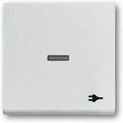Busch-Jaeger Wippe mit Aufdruck Aluminium-Silber 1789 ST-83