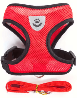 Inspire Picks Adjustable Escape Proof Reflective Cat Harness & Leash Set red s