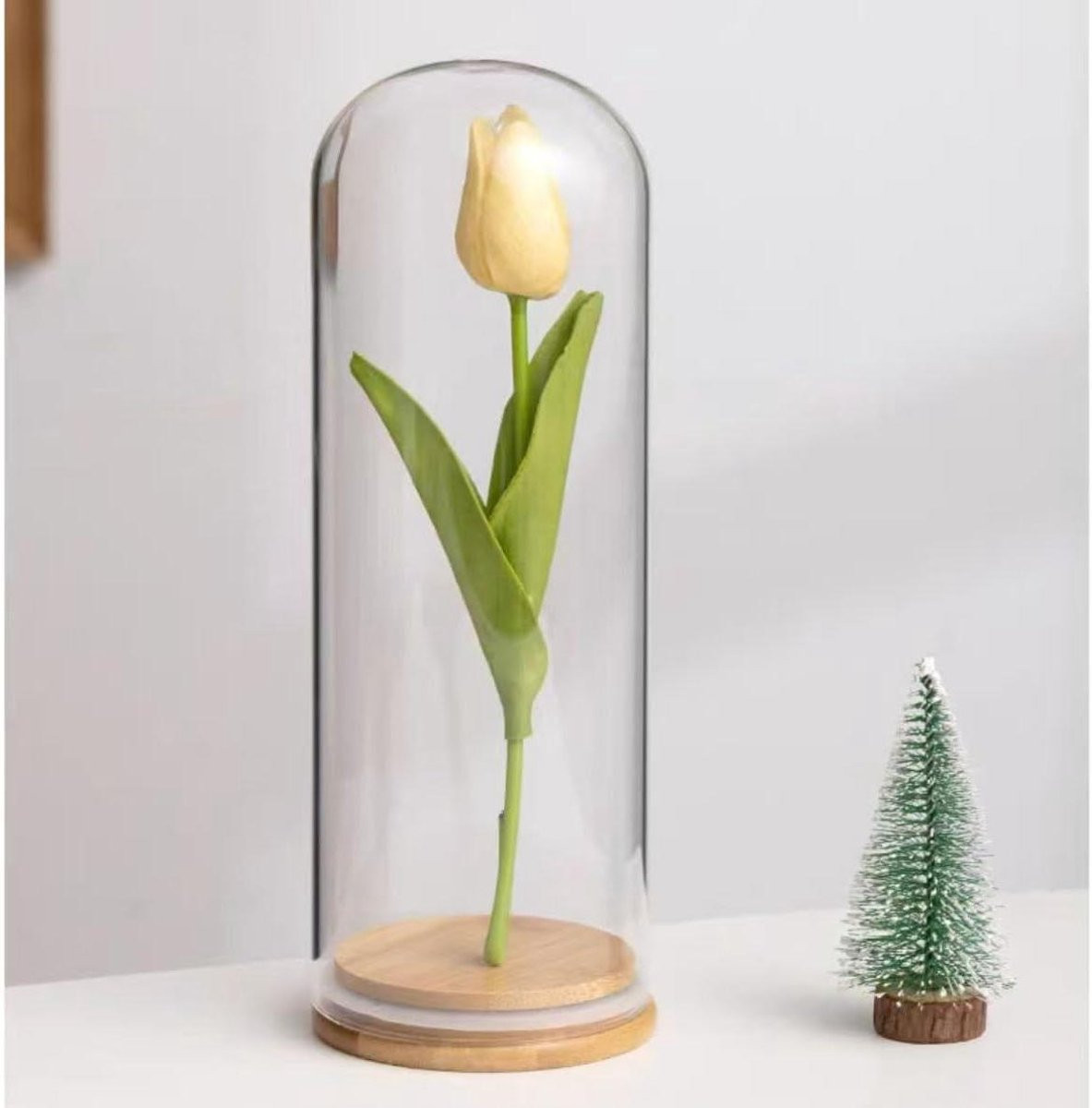 Decoratieve Glazen Koepel met Houten Basis - Transparant