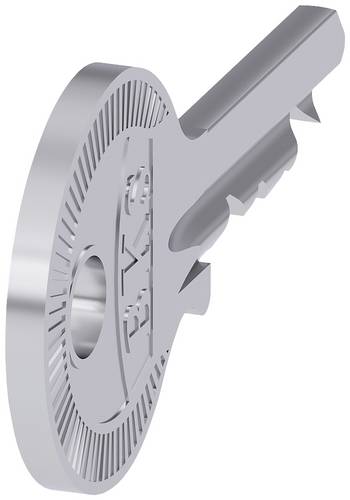 Siemens 3SU1950-0FD80-0AA0 3SU19500FD800AA0 Schlüssel 1St.