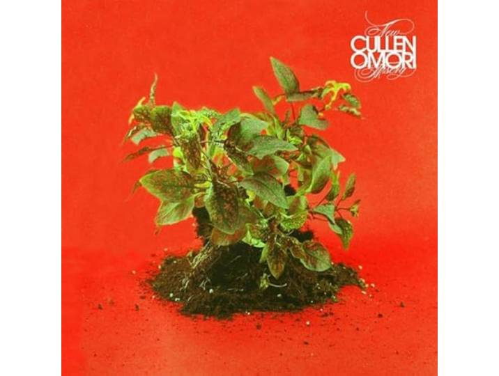 Cullen Omori - New Misery