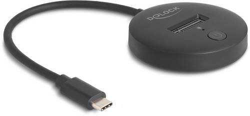 Delock 64254 USB-C, M.2 Festplatten-Dockingstation mit USB Hub