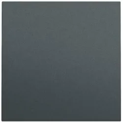 Gira Wippe Schalter anthrazit lackiert 329673