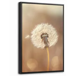LEINWAND Bilder mit Rahmen - Löwenzahn - Beige - Natur - Blume - 40x60