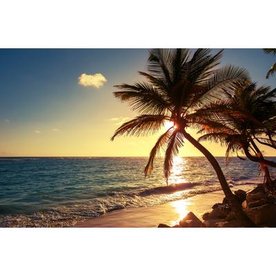 Fototapete PAPERMOON "PALMEN-STRAND SONNENUNTERGANG NATUR MEER LANDSCHAFT XXL", bunt, B:3,5m L:2,6m, Vlies, Tapeten