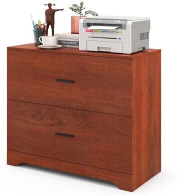 2 Drawer Lateral File Cabinet Printer Stand with Adjustable Bars