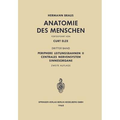 Periphere Leitungsbahnen II Centrales Nervensystem Sinnesorgane, Taschenbuch von Hermann Braus,Curt Elze, Springer Berlin, 978-3-642-49528-1