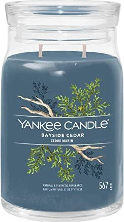 YANKEE CANDLE Signature Glas 2 Dochte Bayside Cedar 567 g