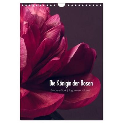 Die Königin der Rosen (Wandkalender 2026 DIN A4 hoch), CALVENDO Monatskalender