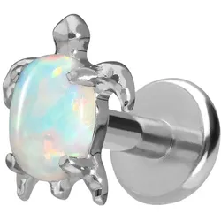 Titan Labret mit Push Fit SCHILDKRÖTE