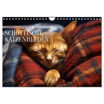 Schottische Katzenhelden (Wandkalender 2027 DIN A4 quer), CALVENDO Monatskalender