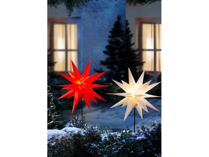Weihnachtsstern mit Erdspieß, Rot