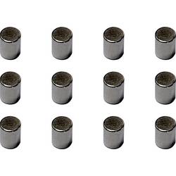 Viessmann Modelltechnik 8431 Car System Dauermagnete, 12 Stück