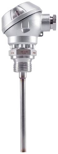 Jumo Widerstandsthermometer 30072680