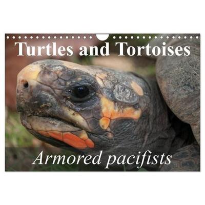 Turtles and Tortoises - Armored pacifists (Wall Calendar 2027 DIN A4 landscape), CALVENDO 12 Month Wall Calendar