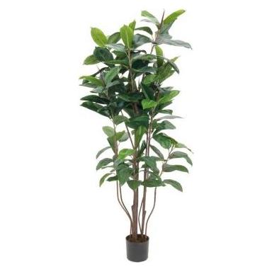 Europalms Gummibaum, Kunstpflanze,150cm (150 cm) (82600151)