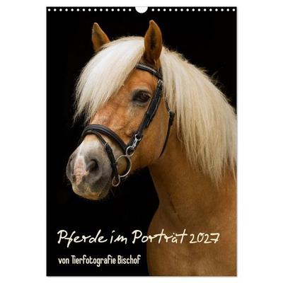 Pferde im Portait (Wandkalender 2027 DIN A3 hoch), CALVENDO Monatskalender