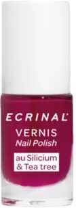 Ecrinal Esmalte Ciruela