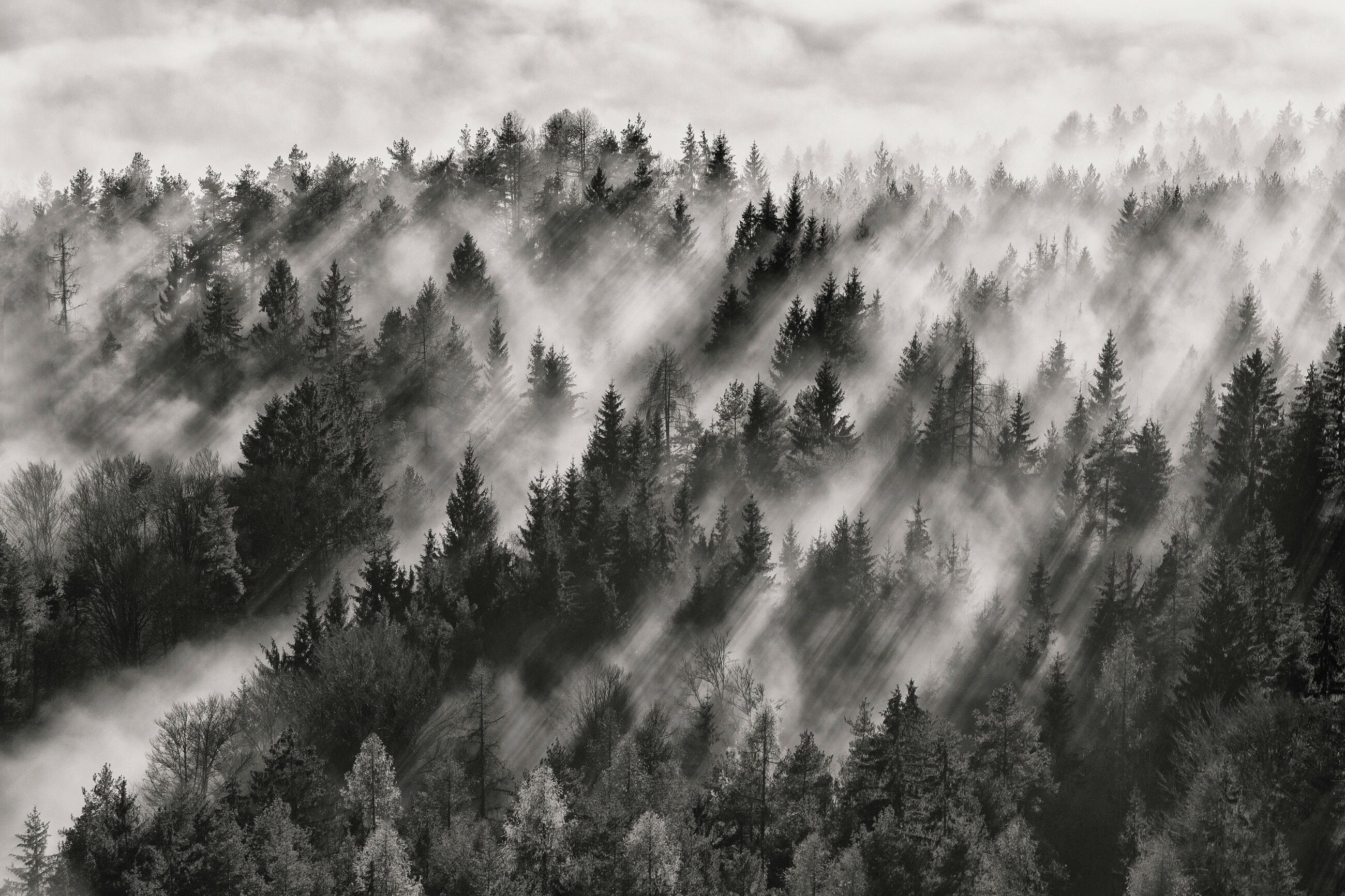 Fototapete PAPERMOON "Photo-Art DAVORIN BALOH, SUNDANCE NR1", bunt, B:1,5m L:1,11m, Vlies, Tapeten, Fototapete