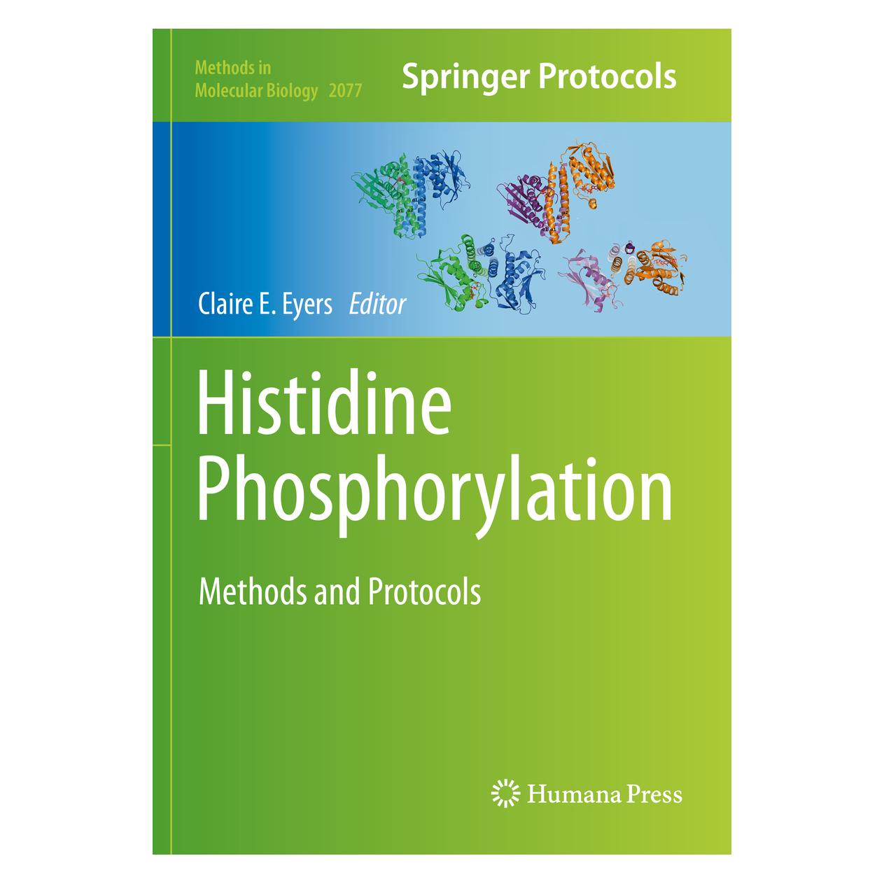 Springer Histidine Phosphorylation (Englisch, Softcover, Claire E. Eyers) (56161340)